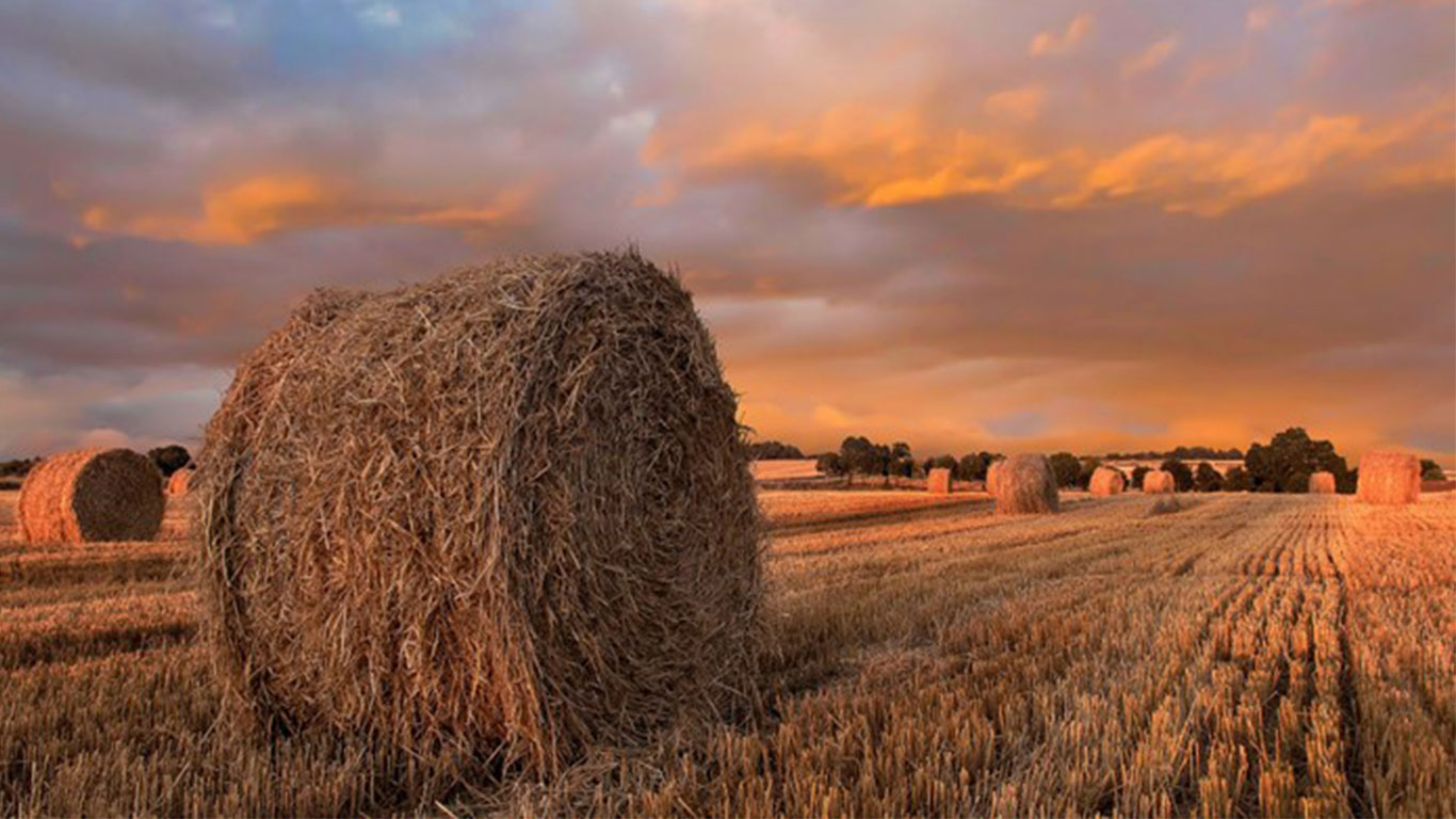 agriculture waste blog